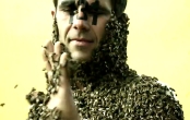 Bienen bei RatgeberTV.com
